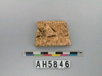 藏品(淺黃色夾砂陶把殘片)的圖片